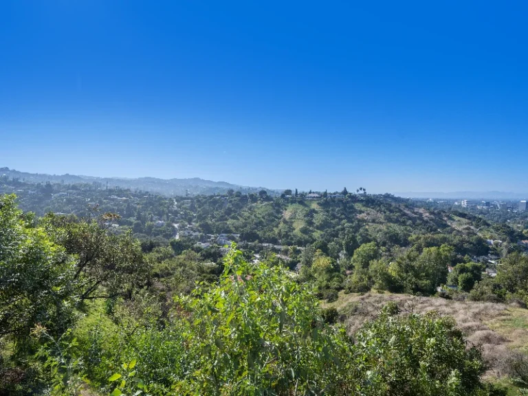 Green hills and trees under a clear blue sky in a wide landscape view. water damage restoration in Hidden Hills CA