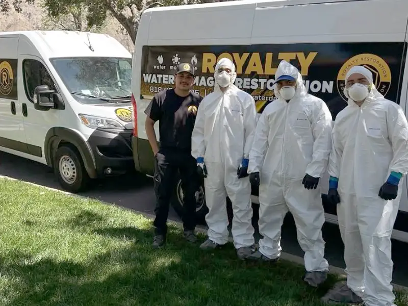Four workers stand in front of two white vans, three wearing white protective suits and masks. mold inspection