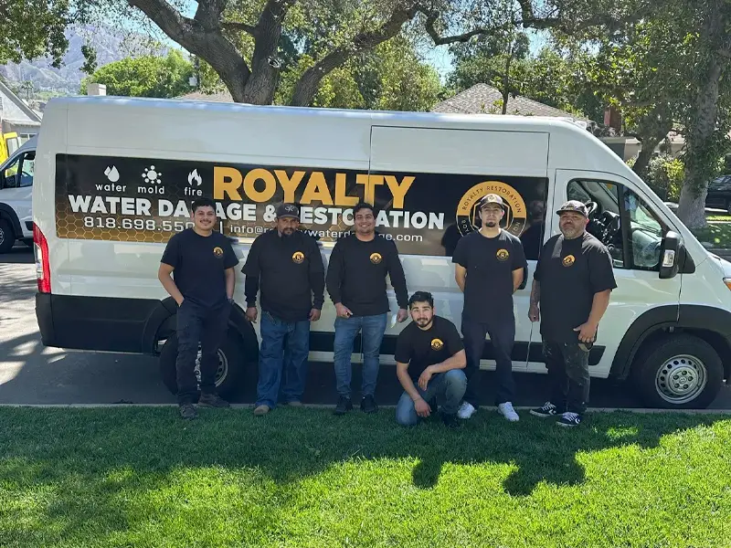 Six men in black shirts stand and kneel in front of a white van with "Royalty Water Damage & Restoration" signage. water damage restoration company
