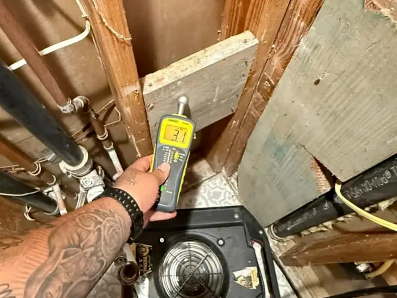 Hand holding a moisture meter showing 3.1 near exposed pipes and a floor fan in a wall cavity. mold inspection